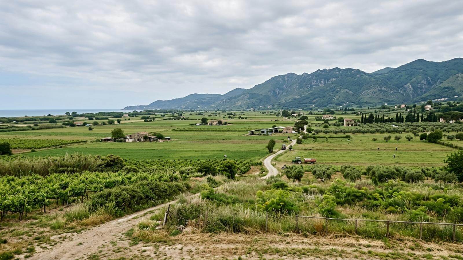 Mejor época para viajar a Paestum