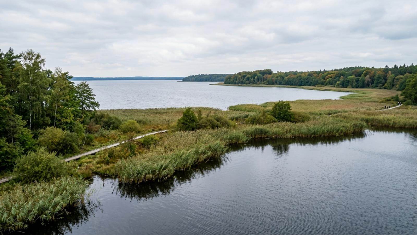 Mejor época para viajar al Parque Nacional de Müritz