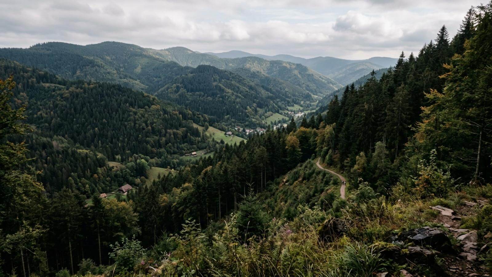 Mejor época para viajar al Parque Nacional de la Selva Negra