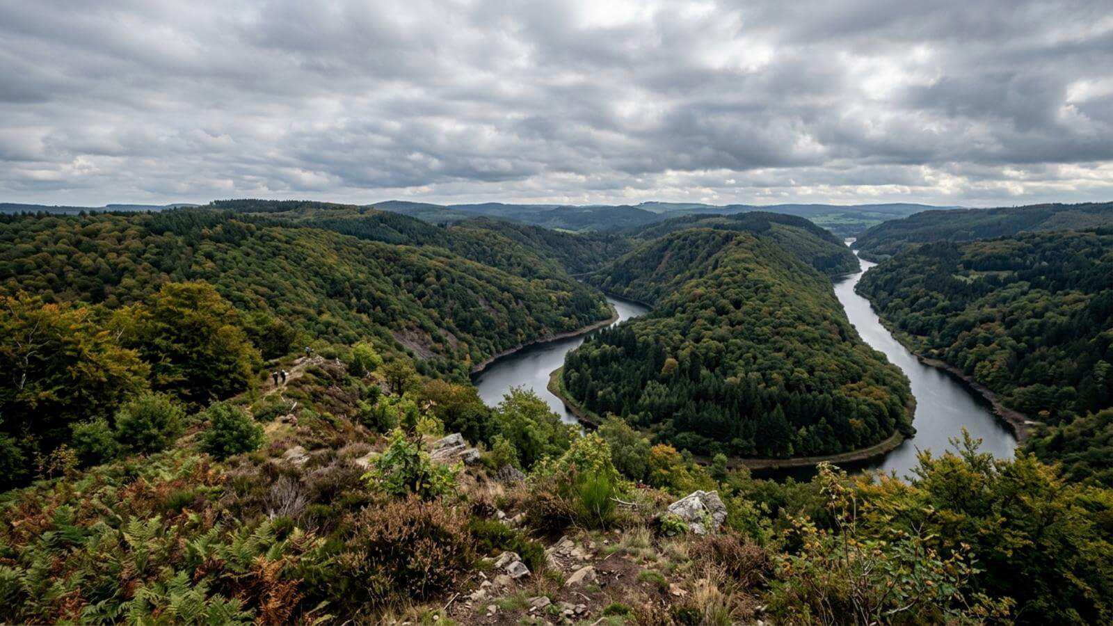 Mejor época para viajar al Parque Nacional del Eifel