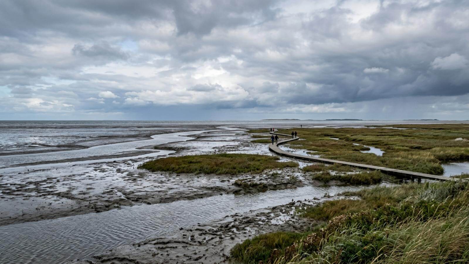 Mejor época para viajar al Parque Nacional del Mar de Frisia de Baja Sajonia