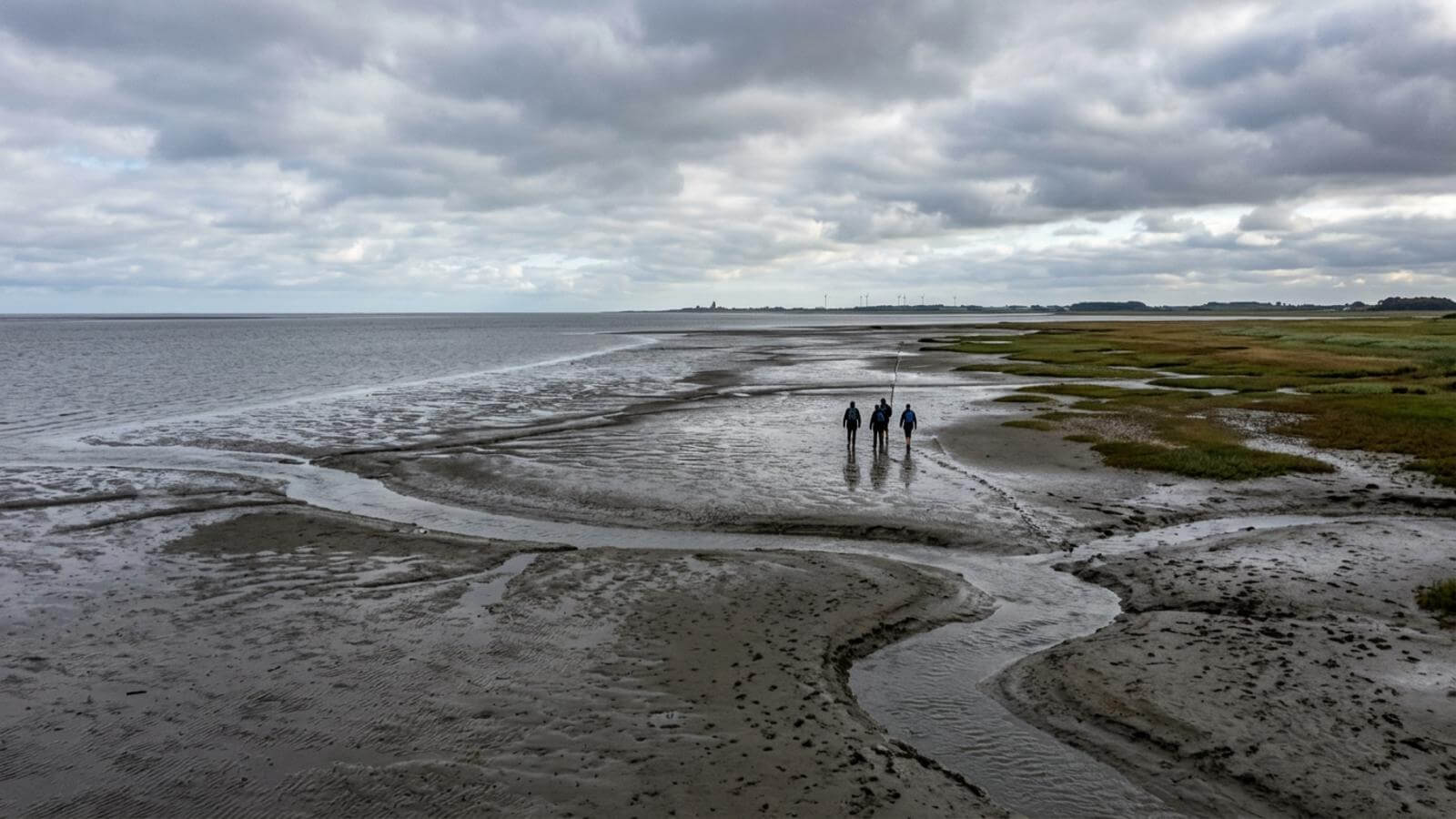 Mejor época para viajar al Parque Nacional del Mar de Frisia de Schleswig-Holstein
