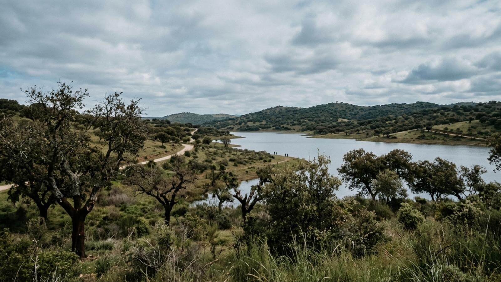 Mejor época para viajar al Parque Natural de Cornalvo