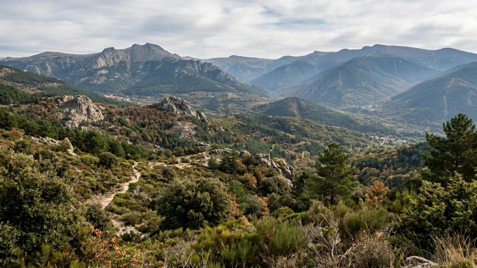 Mejor época para viajar al Parque Natural de la Sierra Norte de Guadarrama