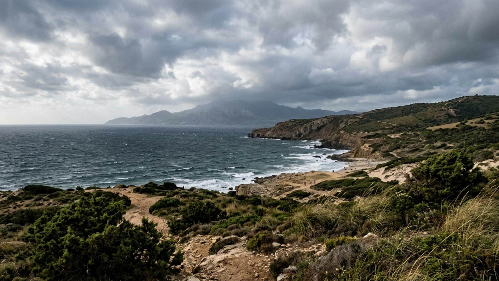 Mejor época para viajar al Parque Natural del Estrecho
