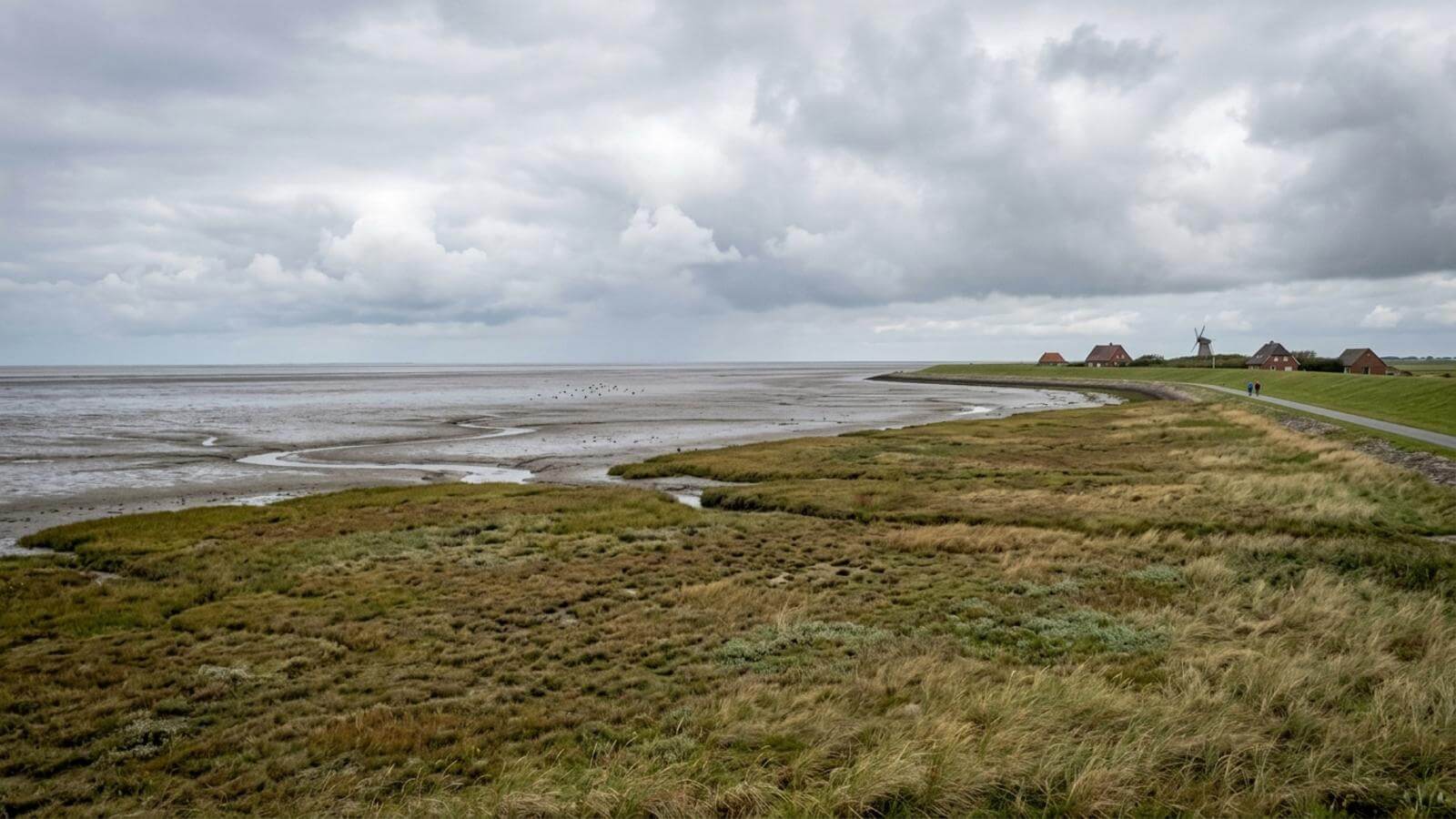 Mejor época para viajar a Pellworm