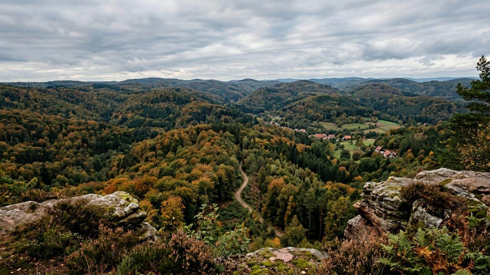 Mejor época para viajar al Pfälzerwald