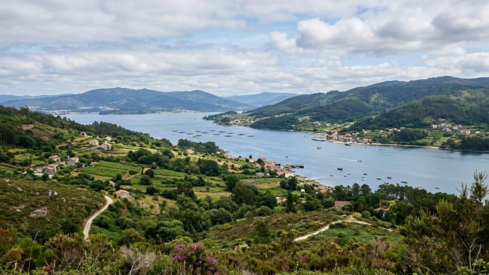 Mejor época para viajar a Poio