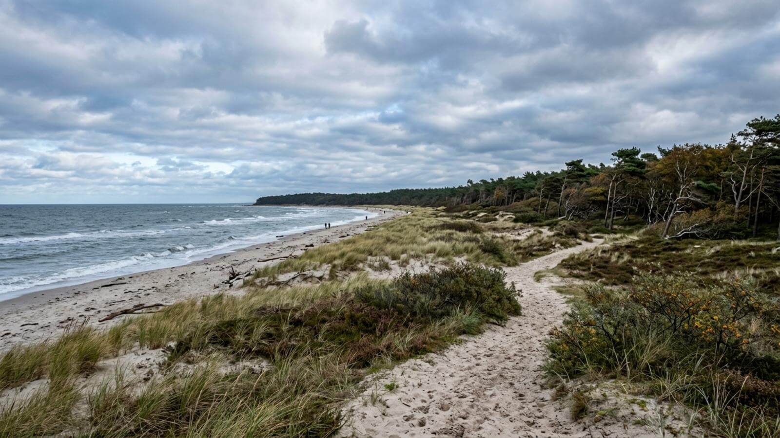 Mejor época para viajar a Prerow