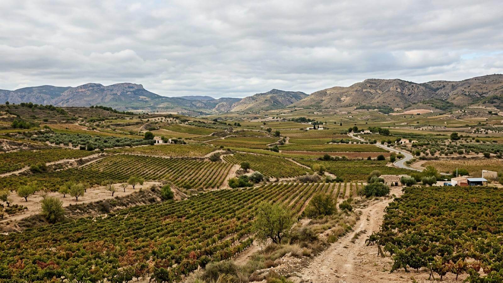 Mejor época para viajar a Requena