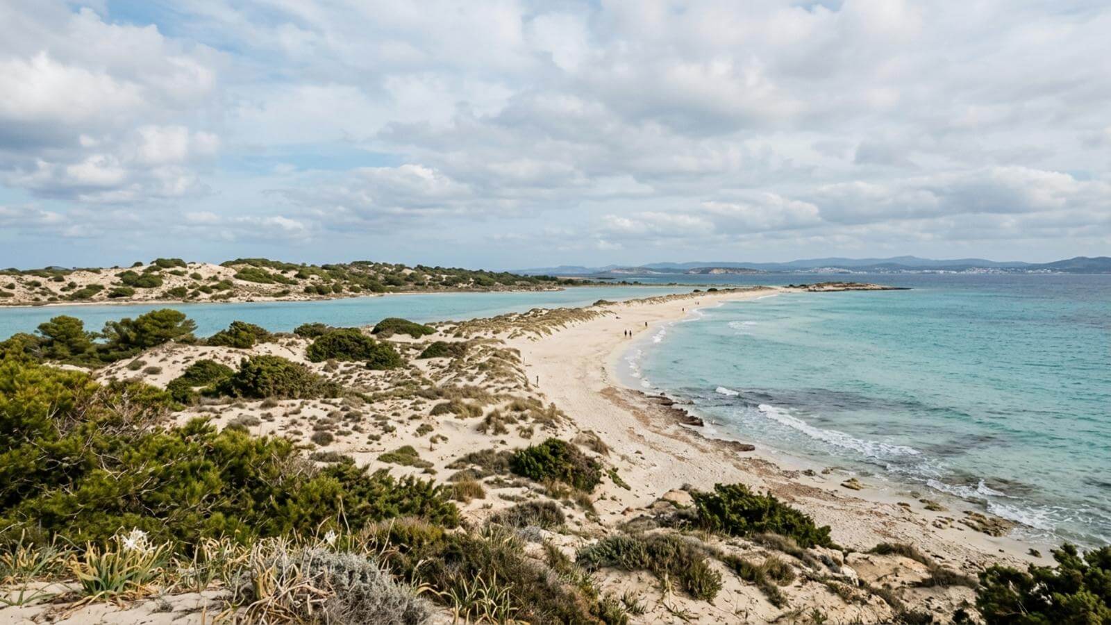 Mejor época para viajar a S’Espalmador