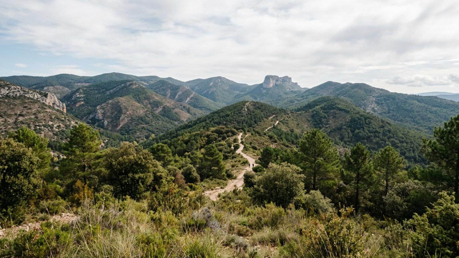 Mejor época para viajar a San Juan de la Peña