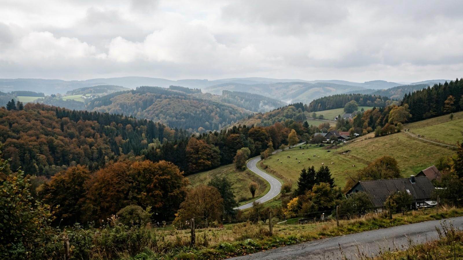 Mejor época para viajar al Sauerland