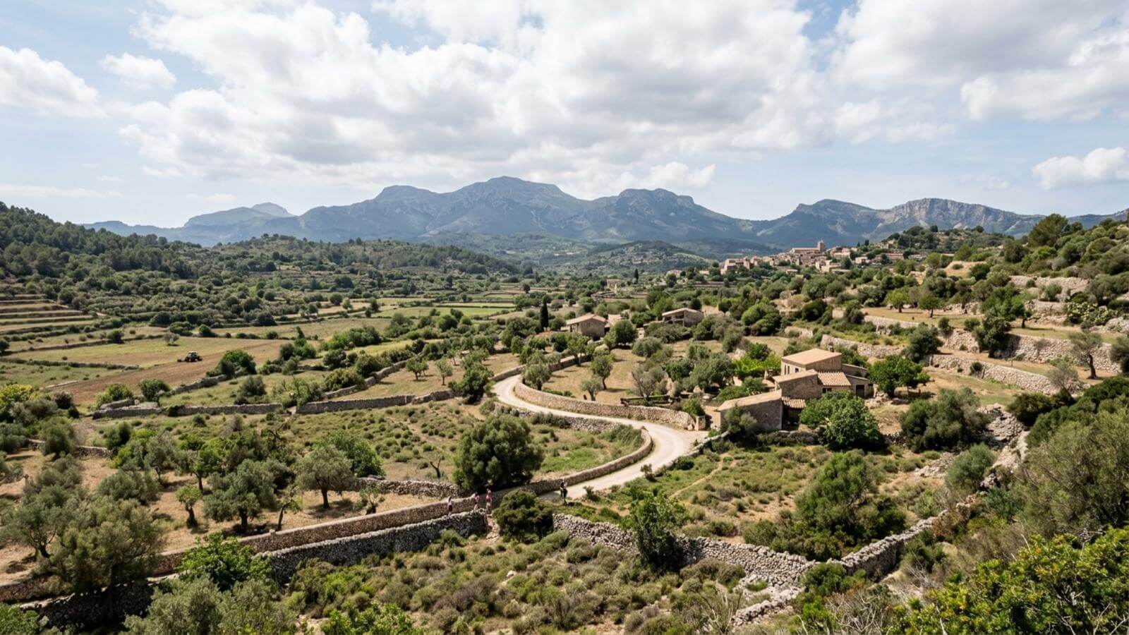 Mejor época para viajar a Son Servera