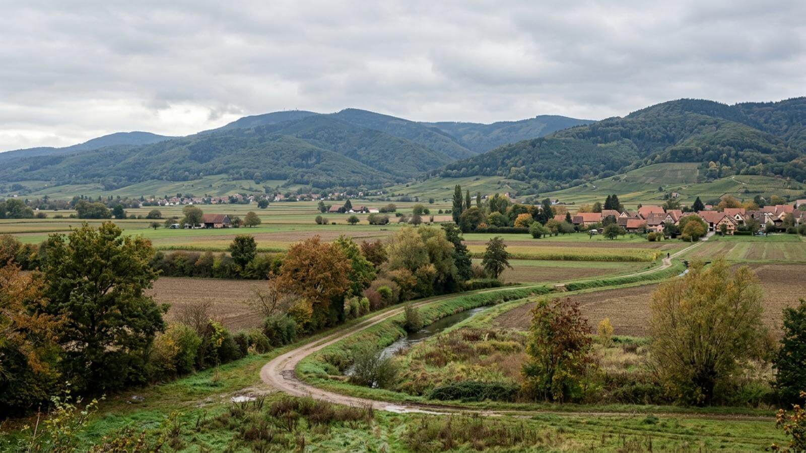 Mejor época para viajar a Sélestat