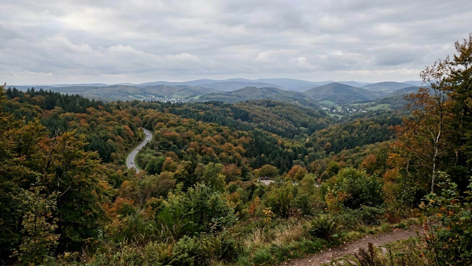 Mejor época para viajar al Taunus