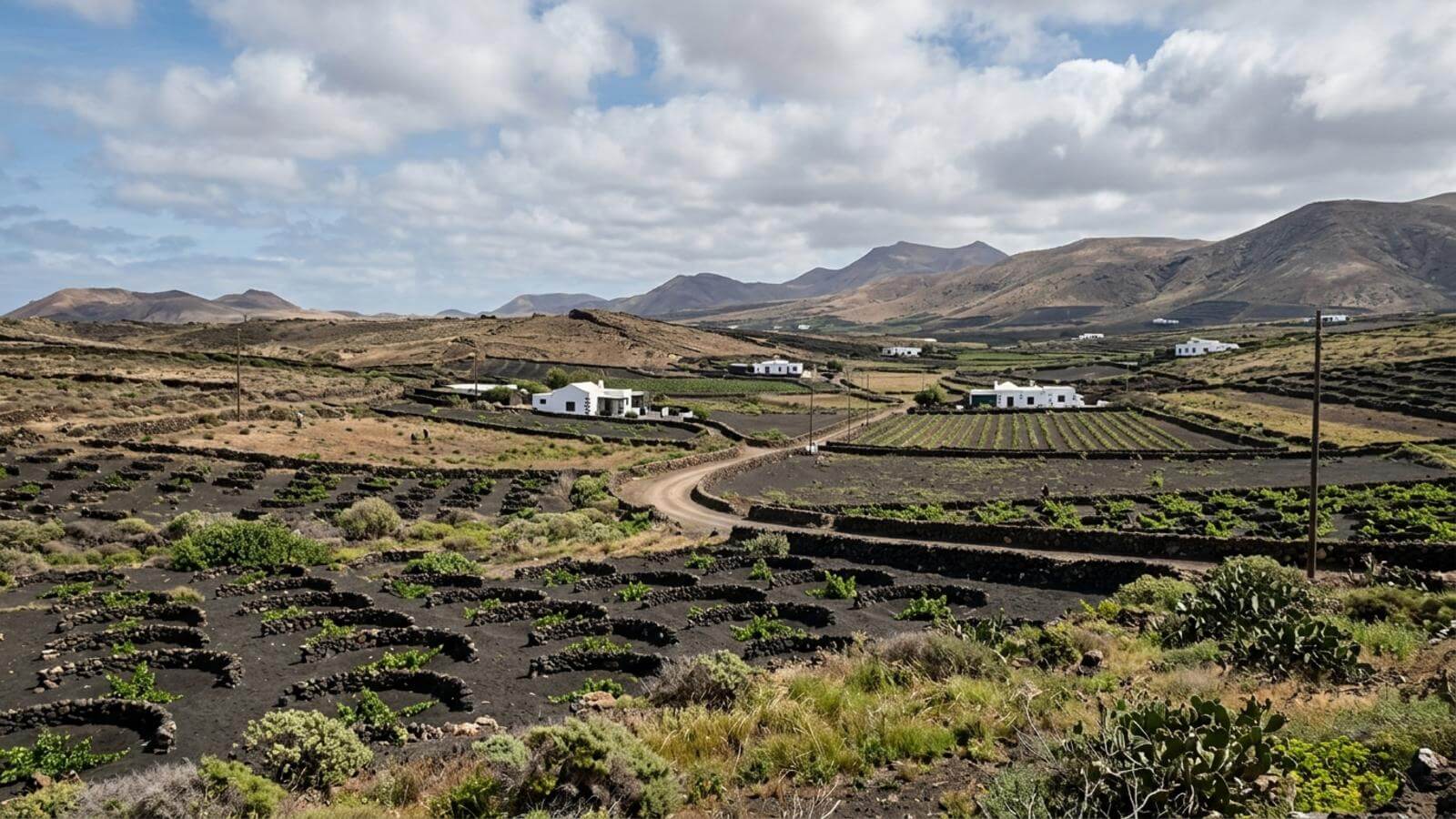 Mejor época para viajar a Tinajo