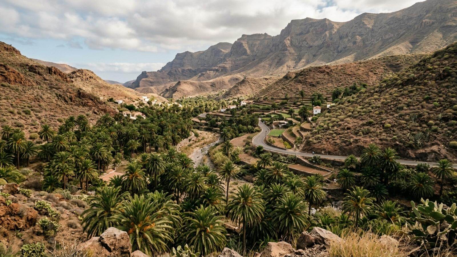 Mejor época para viajar al Valle de las Mil Palmeras