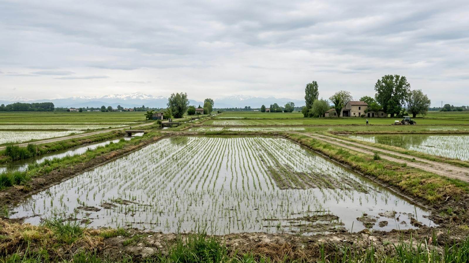 Mejor época para viajar a Vercelli