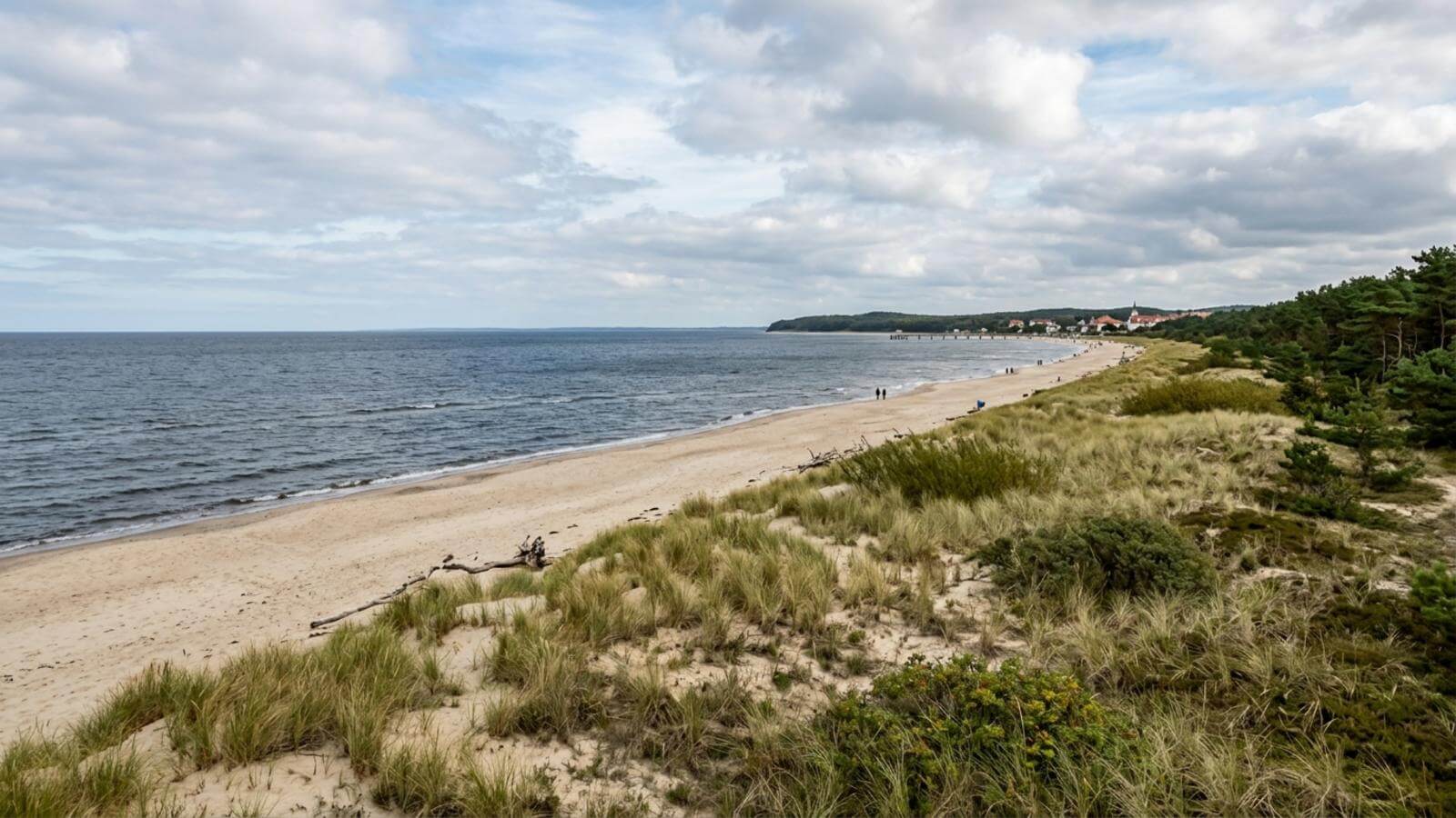 Mejor época para viajar a Zinnowitz