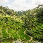 Resort en Bali desde 5€ p.p./noche