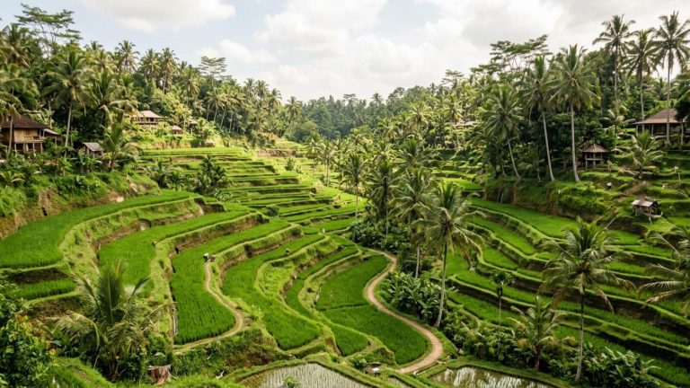 Resort en Bali desde 5€ p.p./noche