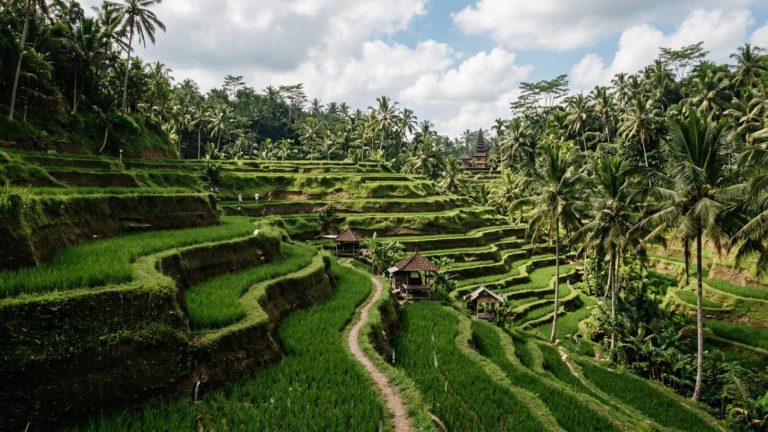 Vacaciones en Bali (Indonesia): resort & spa 4* desde 6€ p.p./noche